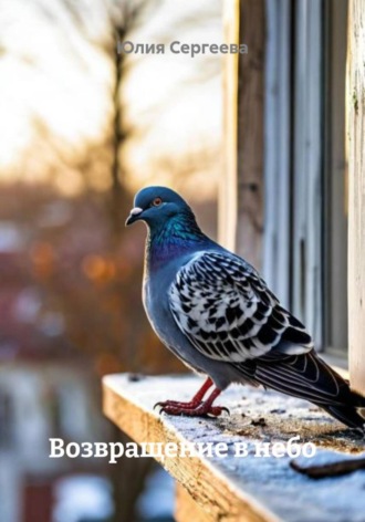 Юлия Сергеева, Возвращение в небо