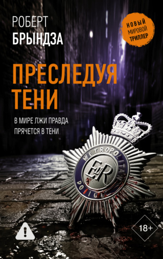 Преследуя тени Роберт Брындза, Преследуя тени