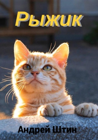 Рыжик Андрей Штин, Рыжик