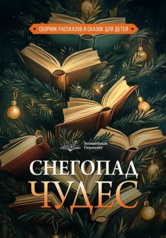 Волшебный переплёт. Снегопад чудес Арина Лаврова, Анастасия Бойцова, Волшебный переплёт. Снегопад чудес