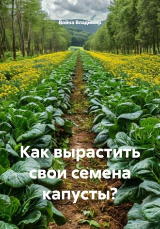 Как вырастить свои семена капусты? Война Владимир, Как вырастить свои семена капусты?