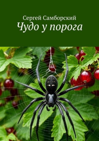 Чудо у порога Сергей Самборский, Чудо у порога