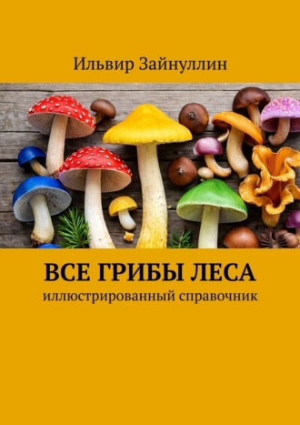 Все грибы леса. Иллюстрированный справочник Ильвир Зайнуллин, Все грибы леса. Иллюстрированный справочник