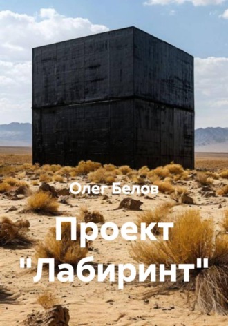 Проект «Лабиринт» , Проект "Лабиринт"