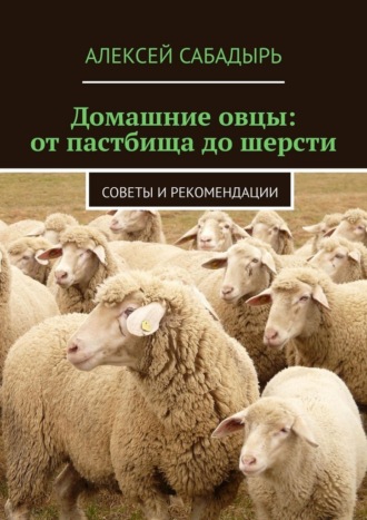Домашние овцы: от пастбища до шерсти. Советы и рекомендации , Домашние овцы: от пастбища до шерсти. Советы и рекомендации
