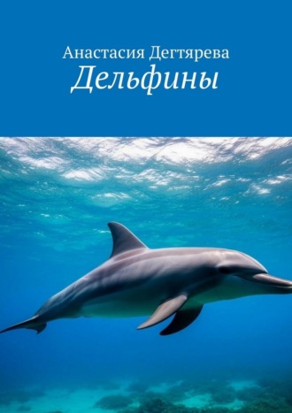 Дельфины , Дельфины