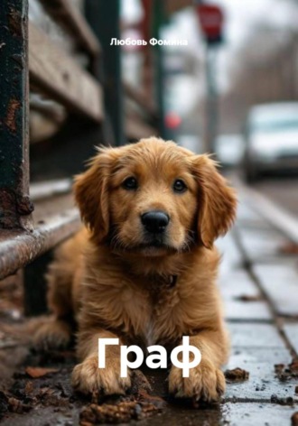 Граф , Граф