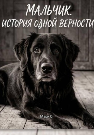 Мальчик. История одной верности , Мальчик. История одной верности