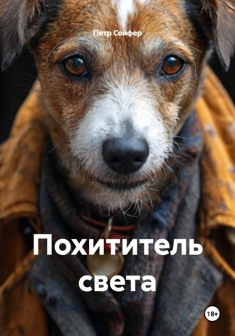 Похититель света , Похититель света