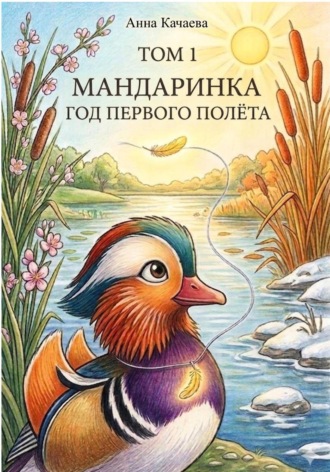 Мандаринка. Год первого полёта. Том 1 , Мандаринка. Год первого полёта. Том 1