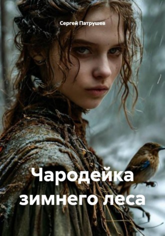 Чародейка зимнего леса , Чародейка зимнего леса