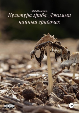 Культура гриба. Джимми чайный грибочек , Культура гриба. Джимми чайный грибочек