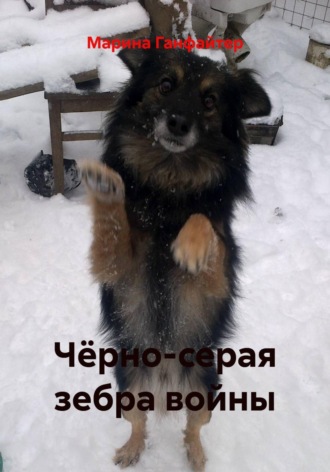 Чёрно-серая зебра войны , Чёрно-серая зебра войны