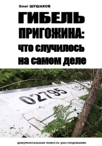 Гибель Пригожина: что случилось на самом деле , Гибель Пригожина: что случилось на самом деле
