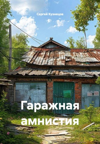 Гаражная амнистия , Гаражная амнистия