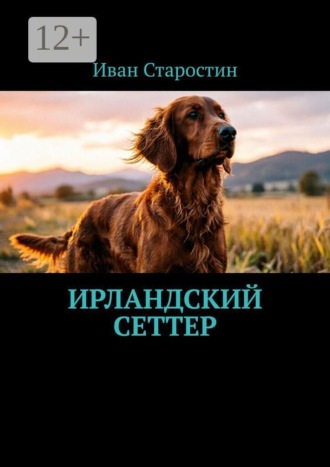 Ирландский сеттер , Ирландский сеттер