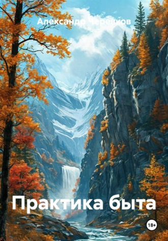 Практика быта , Практика быта