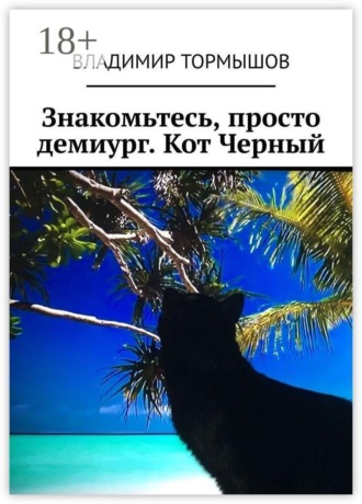 Знакомьтесь, просто демиург. Кот Черный , Знакомьтесь, просто демиург. Кот Черный