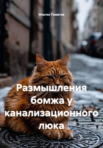 Размышления бомжа у канализационного люка , Размышления бомжа у канализационного люка