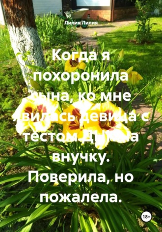 Когда я похоронила сына, ко мне явилась девица с тестом ДНК на внучку. Поверила, но пожалела. , Когда я похоронила сына, ко мне явилась девица с тестом ДНК на внучку. Поверила, но пожалела.