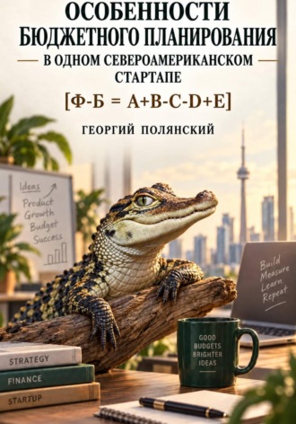 Особенности бюджетного планирования в одном североамериканском стартапе , Особенности бюджетного планирования в одном североамериканском стартапе