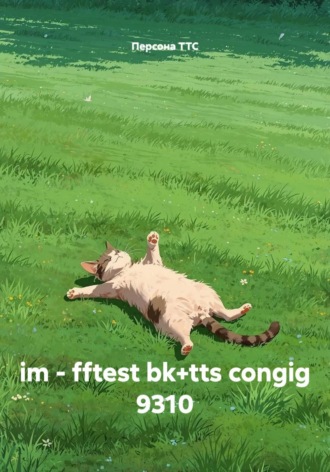 im — fftest bk+tts congig 9310 , im - fftest bk+tts congig 9310