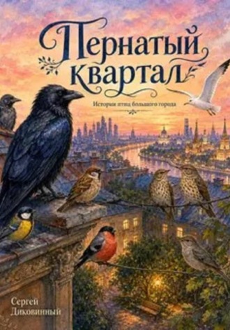 Пернатый квартал , Пернатый квартал