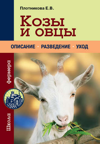 Елена Плотникова, Козы и овцы