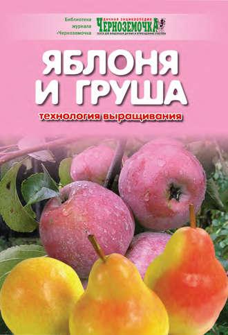 А. Панкратова, Яблоня и груша. Технология выращивания