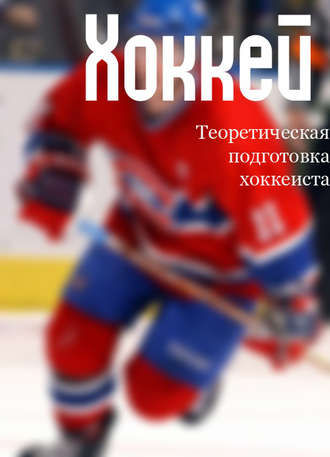 Илья Мельников, Теоретическая подготовка хоккеиста