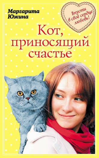 Маргарита Южина, Кот, приносящий счастье