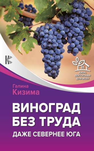 Галина Кизима, Виноград – это просто! Российские виноградники от юга до севера